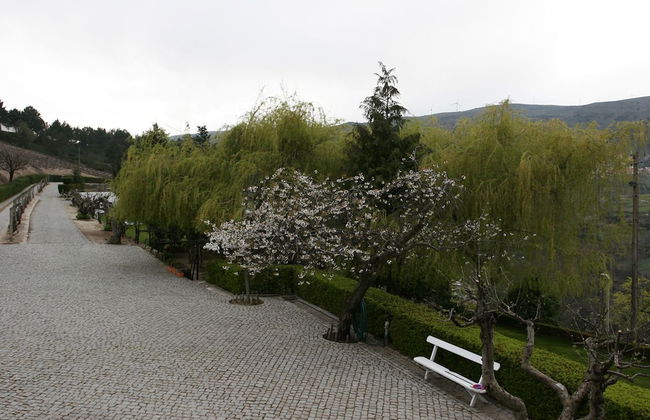 Rivatur - Explorações Turísticas Lda - Foto 41