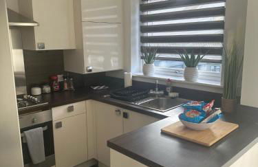 Black Daisy - Foto 77