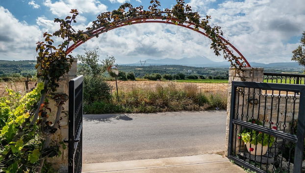Villa in Crete Near Beach and Olive Groves - Foto 2, Recepción
