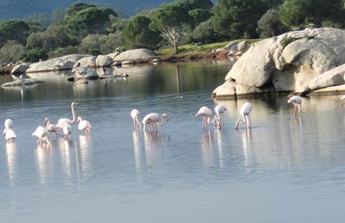 CASA DI SIGNARE - Foto 17