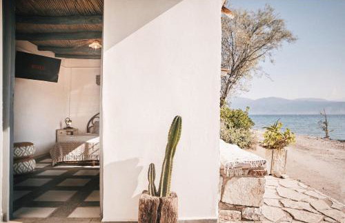 The Artist's Farm - Foto 24