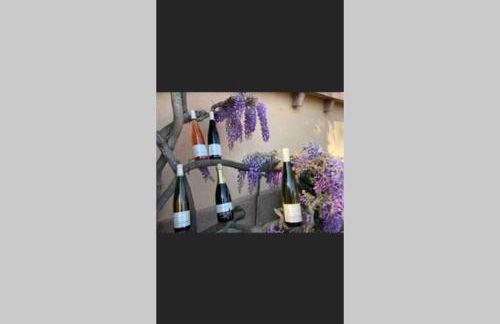 Coeur Alsace - Foto 39