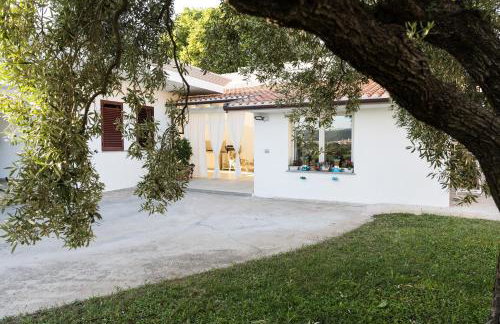 Domo Bonaeras - Photo 1