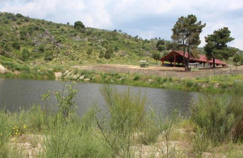 Quinta Vale da Prata - Foto 46