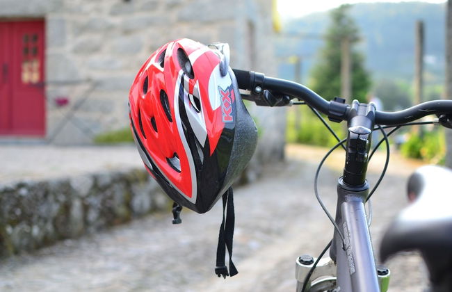 Quinta do Olival - Photo 39