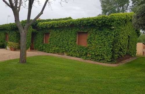 Complejo rural la Badia - Foto 25