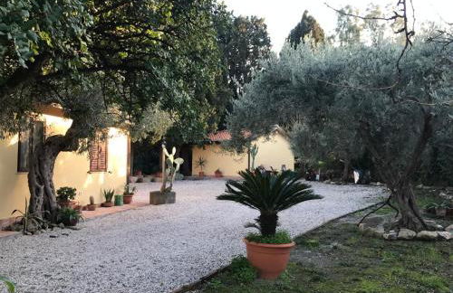 Bouganville in Villa Greco - Foto 26