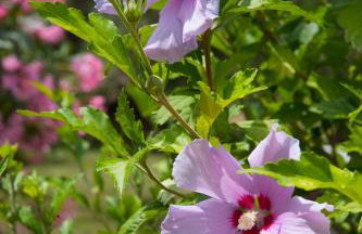 Family Holiday Apartment with garden & BBQ - Foto 10