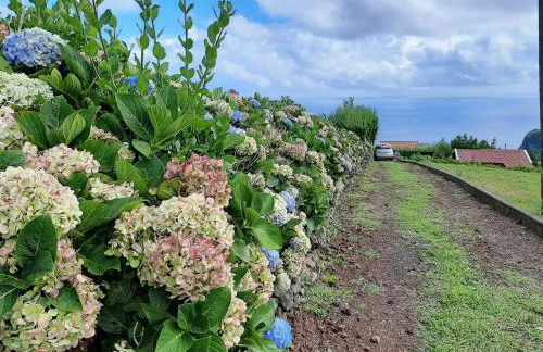 Quinta das Primas - Foto 22