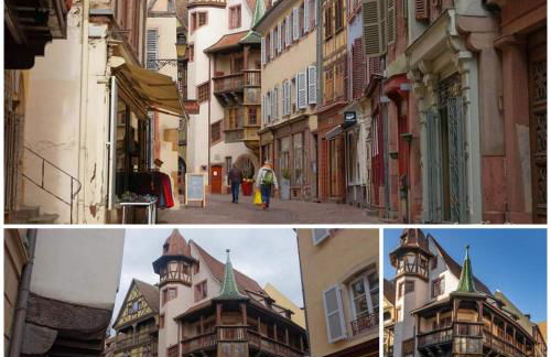 GITE LA HOUBLONNIÈRE STANDING et CONFORT à COLMAR - Foto 21