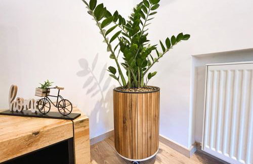 Apartment Silver Star with parking - Photo 16