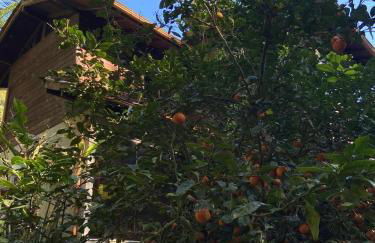 Sítio Ponto de Paz - Photo 1