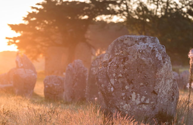 La Cormorane - Foto 22