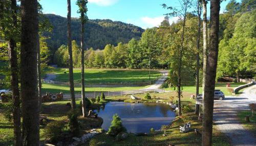 Barn Vibes + Petting Zoo + Hot Tub! - Foto 2