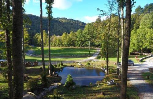 Barn Vibes + Petting Zoo + Hot Tub! - Foto 2