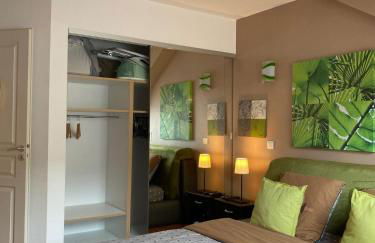 La Gentiane bleue, vue lac Saint Point - Foto 16