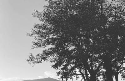 Agriturismo Spazzavento - Foto 8