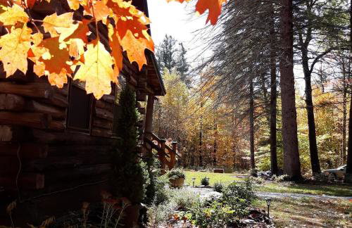 Deer Valley Retreat, Lovely Log Cabin with Fireplace & Garden Views- Perfect for a Relaxing Getaway! - Foto 42