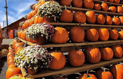 Autumn Escape by the Cape 4 drm home - Photo 11