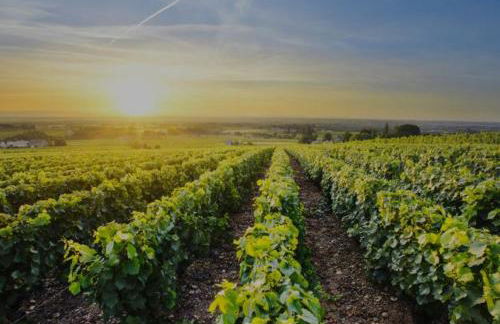 The Old Workshop, Wadhurst - Foto 54