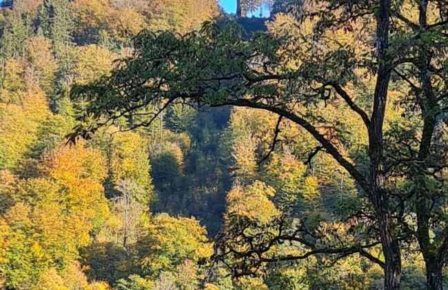 Maarchalet Modern Retreat - Photo 17