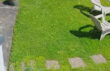 Maison Sacha - Foto 1