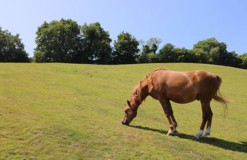 Railway Carriage - Foto 18