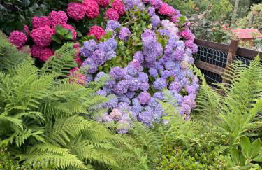 Chalet Aledia - Photo 9