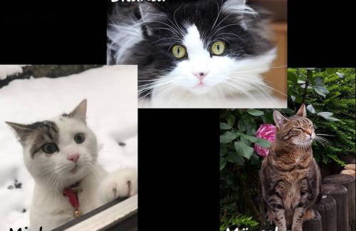 Großzügige Wohnung mit Terrasse Würzburg, Zell - Foto 14