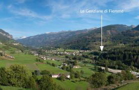 Mansarda Le Genziane di Fiemme - Foto 3