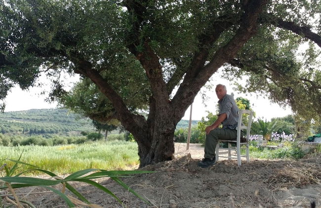 Villa Phyllia, a Property With History - Foto 4