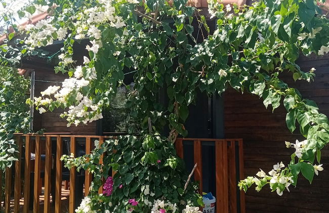 Riviera Bungalow Evleri Demre - Photo 80