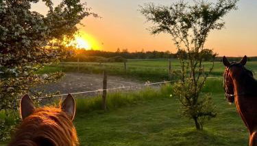 Domek Leśny Zakątek z klimatyzacją - Foto 5