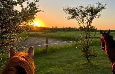 Domek Leśny Zakątek z klimatyzacją - Foto 5