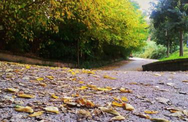 Il Rosciolo Sulla Francigena - Foto 76