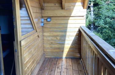 Chalet bois au calme, en lisière de forêt, balcons, sentiers balades Gérardmer & Alsace "Chalet Mon beau sapin" - Foto 55