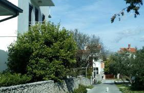 Apartment Lavanda Nova - Foto 65