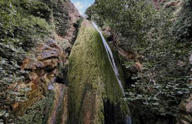 Sirines Apartments - Photo 9