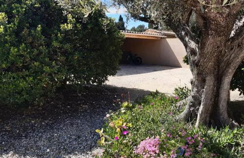 Mas jumelé 2 chambres dans cadre idyllique proximité mer - Foto 3