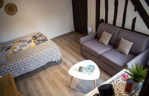 Studio Charmant Confortable TV Centre Ville Louviers - Foto 15