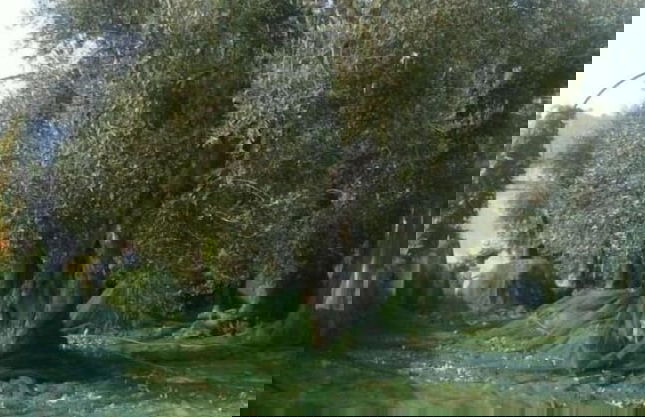 Agriturismo Giorgio - Foto 63