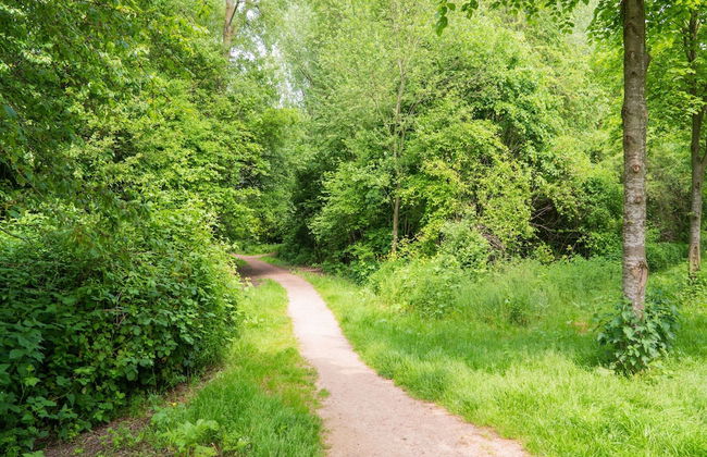 Farmhouse With Terrace in Montfoort - Photo 37