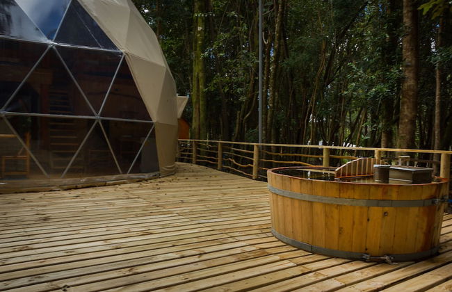 Cabañas Ensenada Bosque Nativo - Foto 30