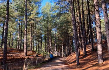 Maison calme Quend-Plage - Photo 37