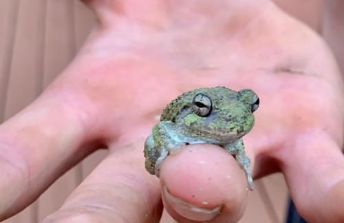 Baxter Farmhouse - Foto 31