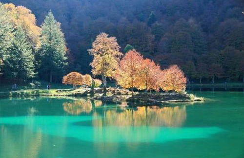 Le petit Nid Rouge - Foto 19