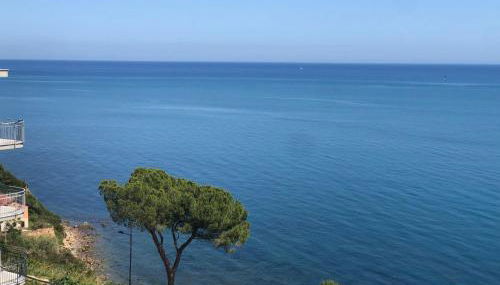 NFACCI o MARI - Foto 2