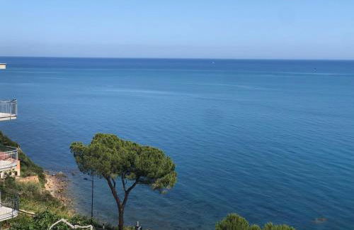 NFACCI o MARI - Foto 2