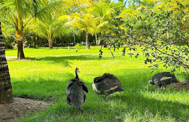 Maruwá - AP das Gordinhas - Photo 26