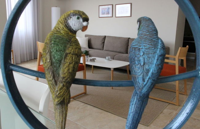 Grey Pearls Suites - Foto 27